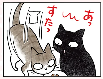 エサが横取りされた！