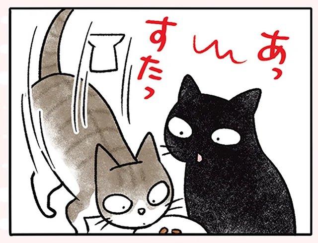 エサを横取りされた！ 食べるスピードの違いのせいで文句が止まらない猫／黒猫ナノとキジシロ猫きなこ（3）