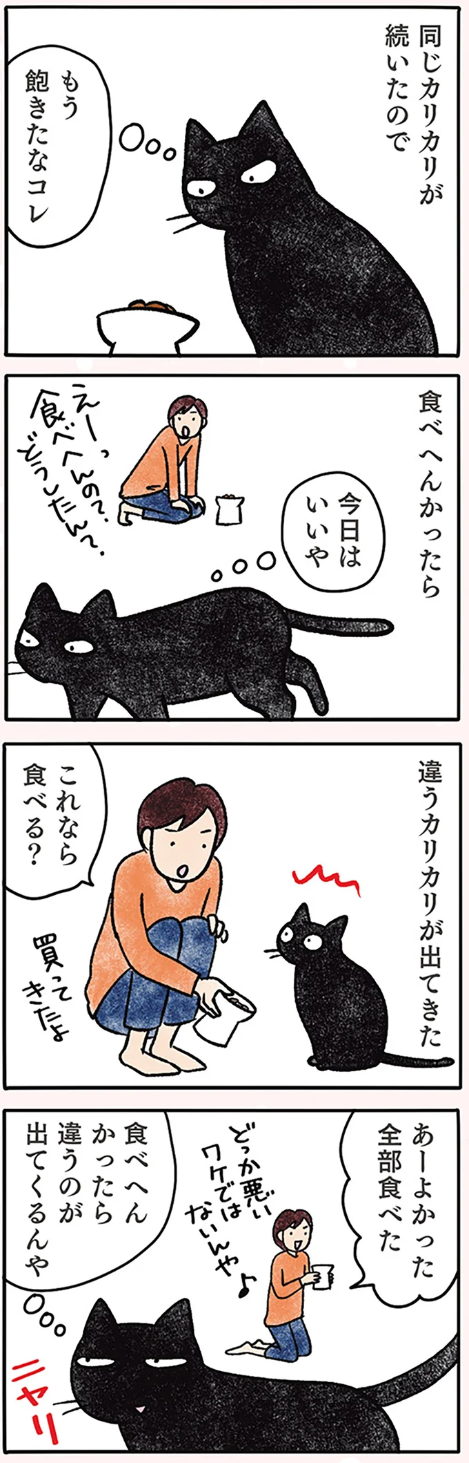カリカリに飽きたら