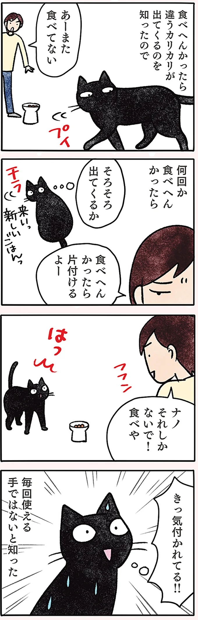 毎回は使えない