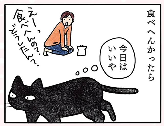 同じカリカリに飽きた猫。意図的に食べずにいたら、新しいごはんが出てきて？／黒猫ナノとキジシロ猫きなこ（4）