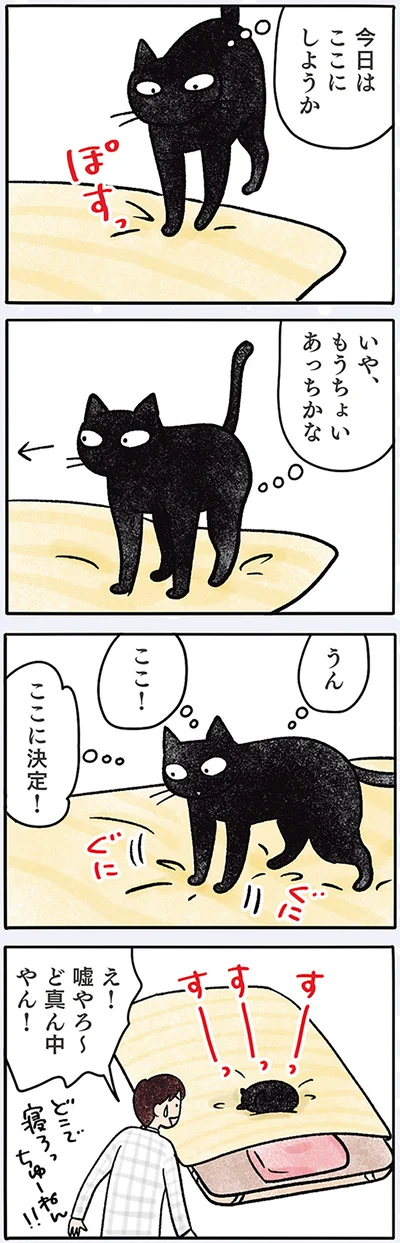今日はここで
