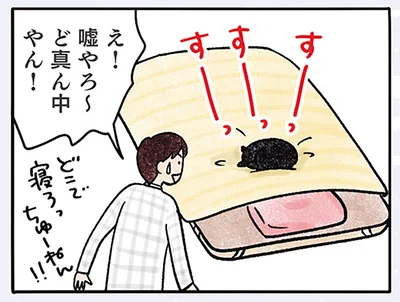 ど真ん中やん！
