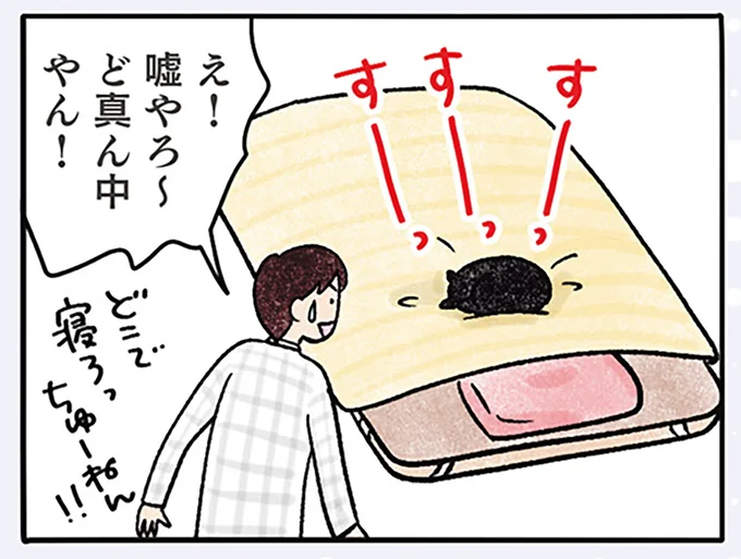 ど真ん中やん!