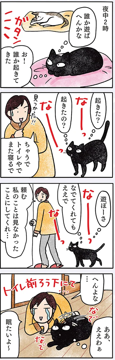 遊び相手募集中