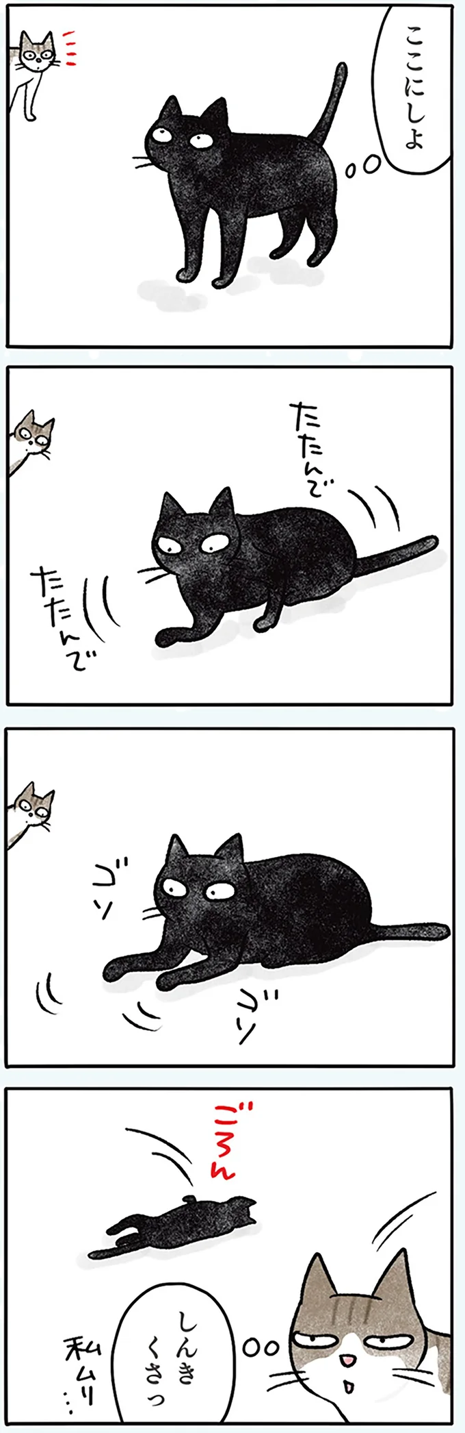 ナノゴロン