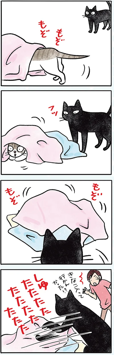 ちょっと意地悪
