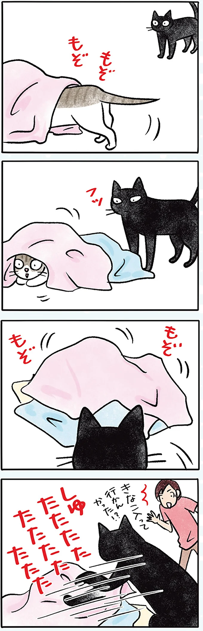 ちょっと意地悪