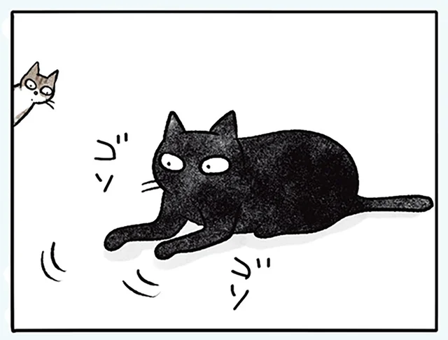 たたんで、撫でて、入念に。寝転がる前の準備が猫の安眠に繋がる？／黒猫ナノとキジシロ猫きなこ（8）