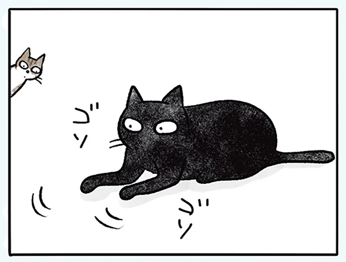たたんで、撫でて、入念に。寝転がる前の準備が猫の安眠に繋がる？／黒猫ナノとキジシロ猫きなこ（8）