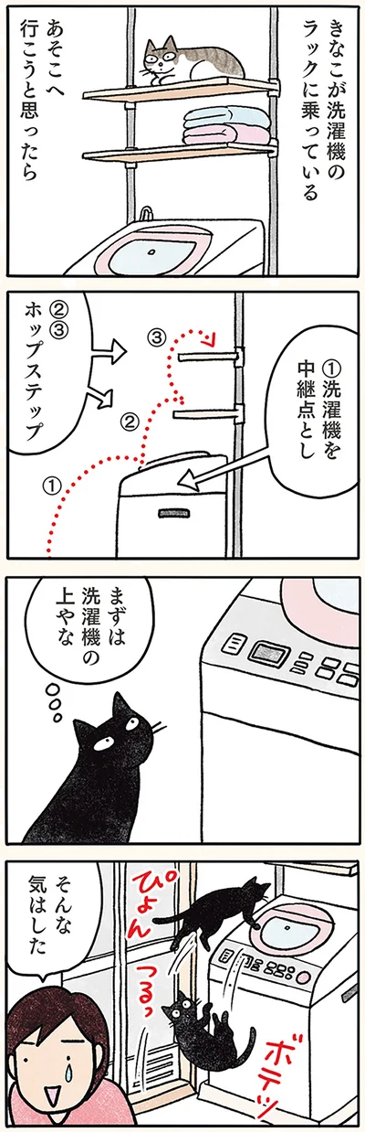 洗濯機の上