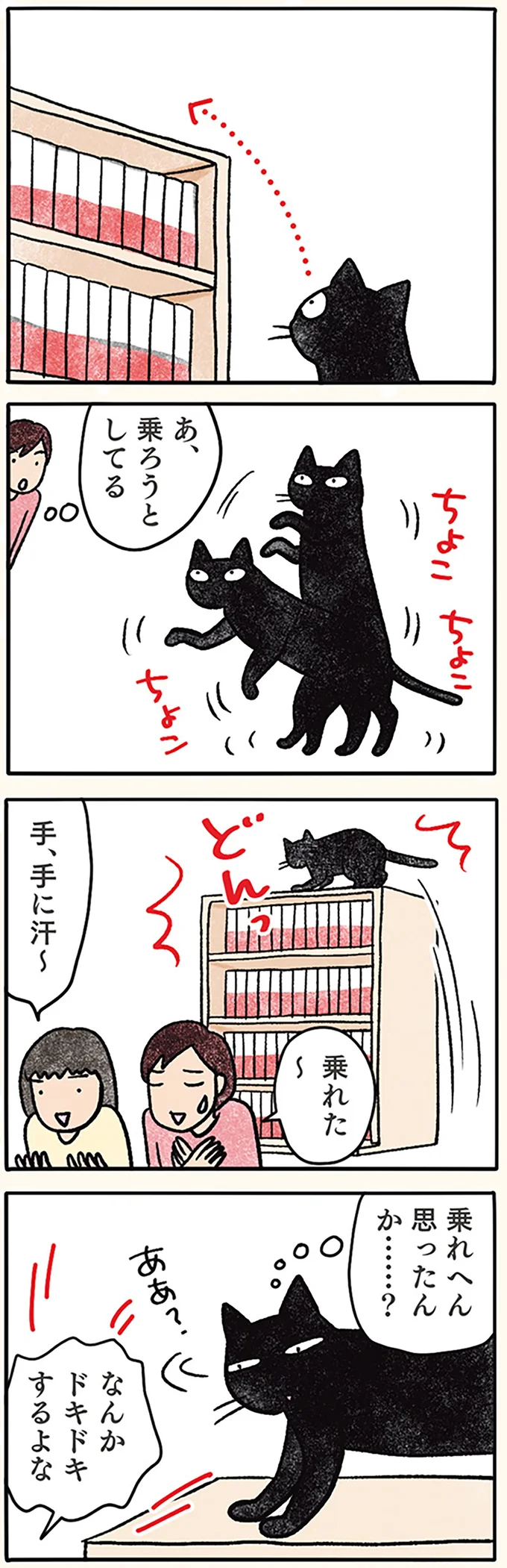 乗れるわ！