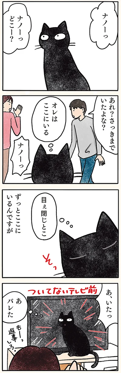黒猫やん