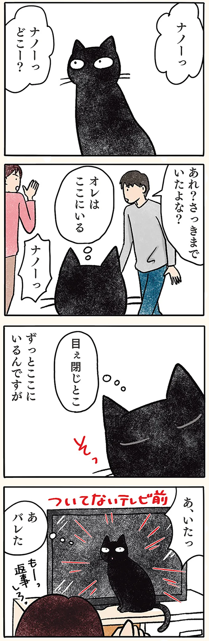 黒猫やん