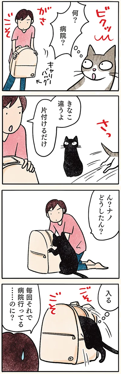 落ちつくねん