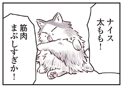 褒め言葉は猫にも効く！？