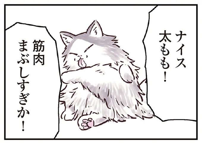 褒め言葉は猫にも効く!?