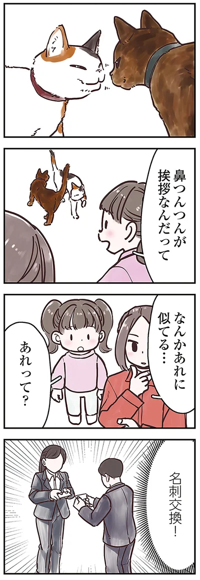 なんかあれに似てる…