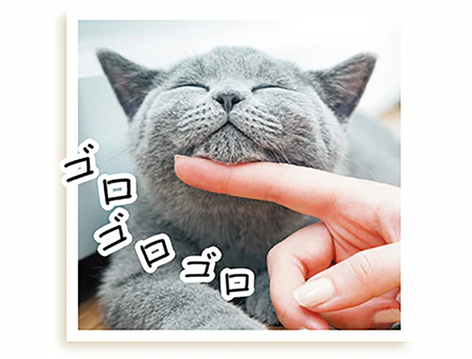 猫のゴロゴロの振動音は20~50ヘルツの低周波