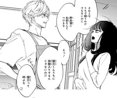 野良猫に名前なんてつけるな