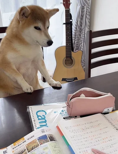 ももちゃんの目線はテーブルの上ではなく…▶視線の先には何が（⇒次へ）