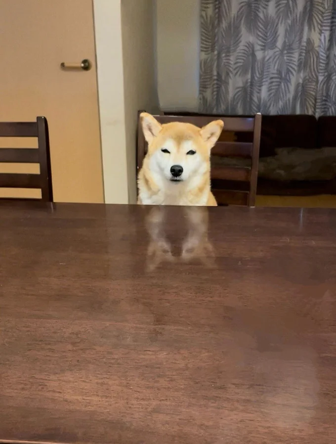 ちょっぴり眠そうなももちゃんです▶この日は何時だったのでしょう?(⇒次へ)