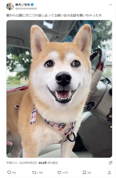 朝から公園に行こうか話し合っている飼い主の会話を聞いちゃった！▶ときには落ち込む日も（⇒次へ）