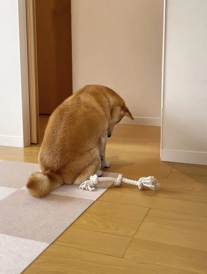 大きく肩を落としてガッカリした様子▶どうしたのでしょうか…（⇒次へ）