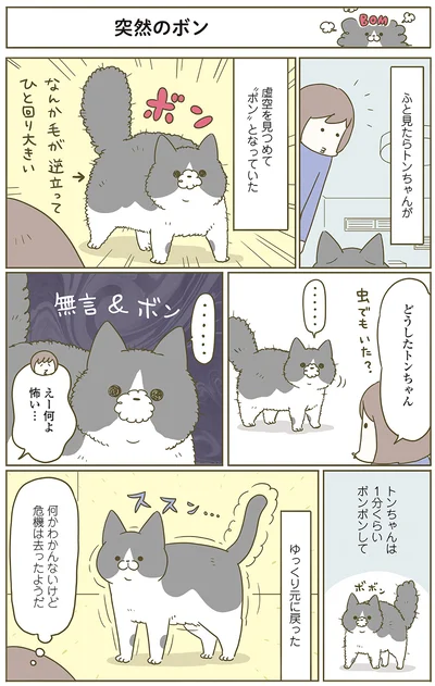 怖い