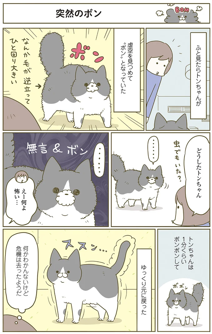 怖い
