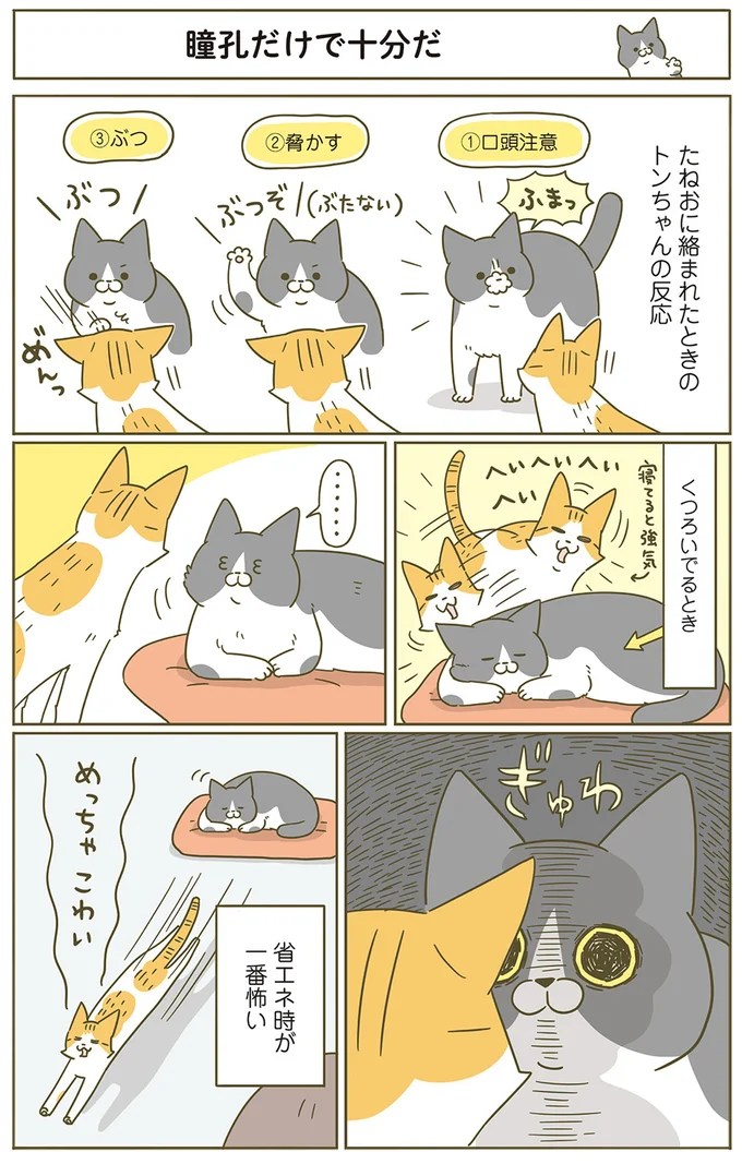めっちゃこわい