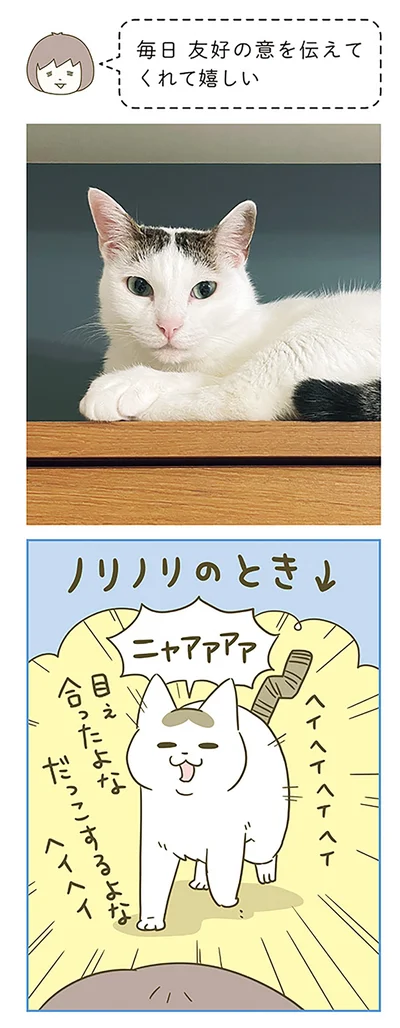 ヘイヘイ