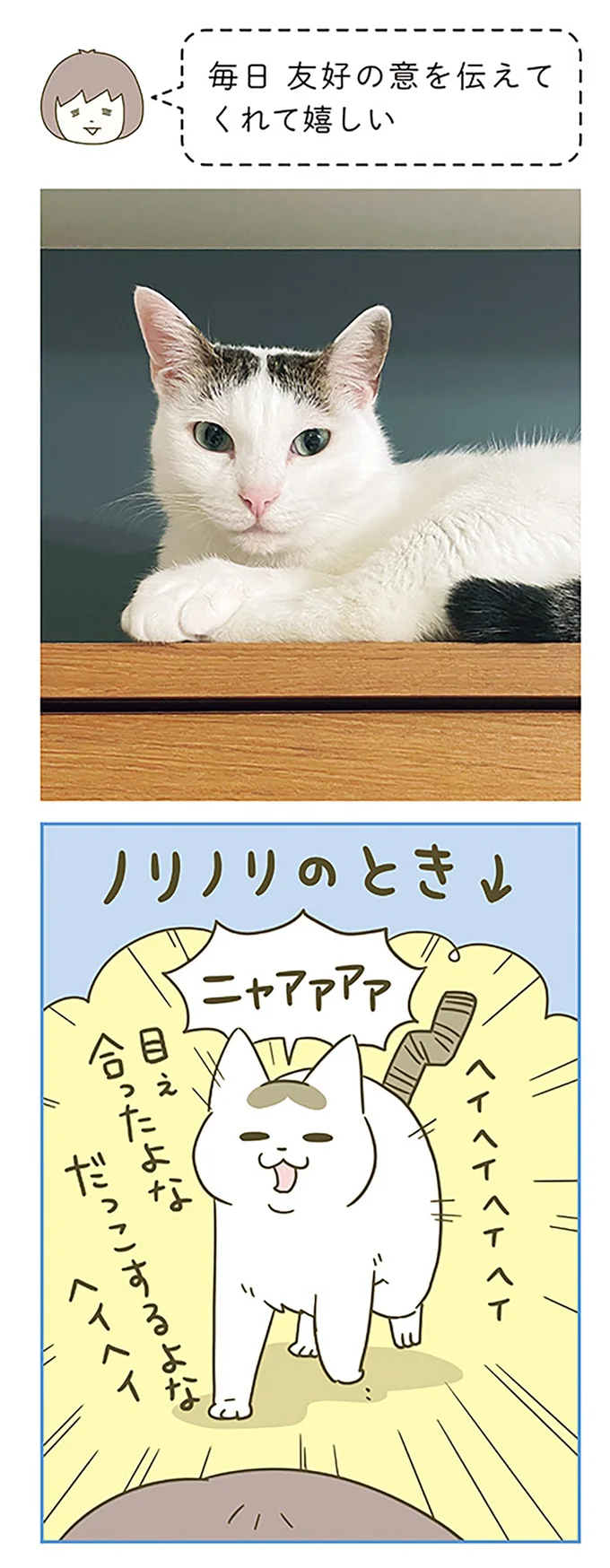 ヘイヘイ