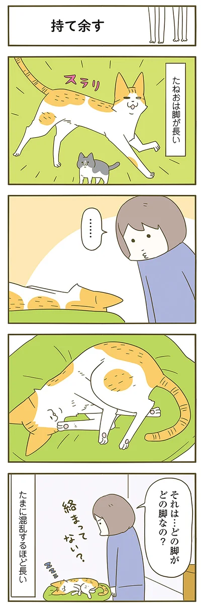 絡まってない？
