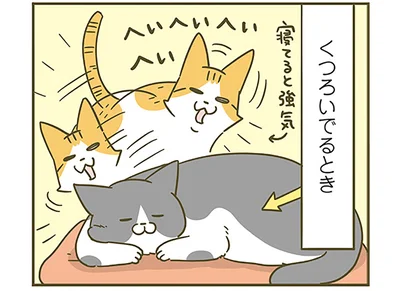 くつろいでいるときに絡まれると…