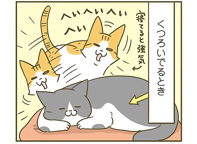 省エネ時の表情がめっちゃ怖い！ 他の子に絡まれたときの猫の対応は／うちの猫がまた変なことしてる。6（3）