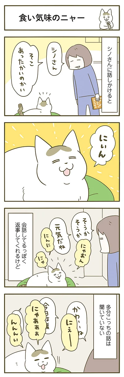 あったかいのかい
