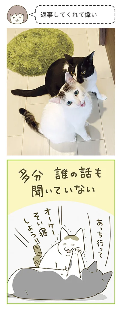 あっち行って