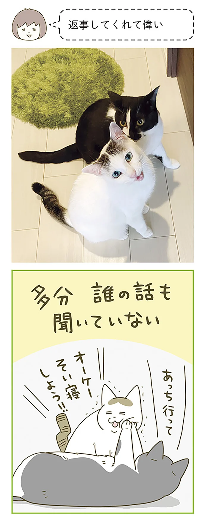 あっち行って