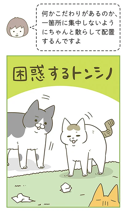 困惑する