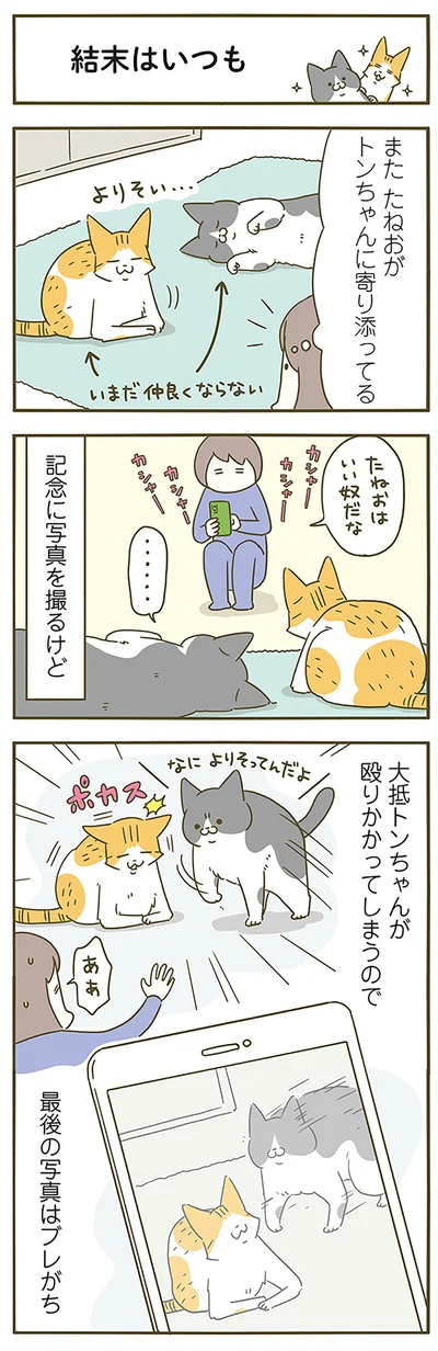 ブレがち