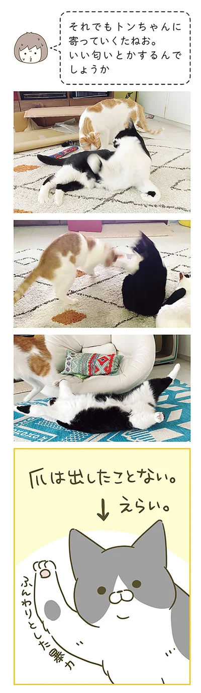 えらい。