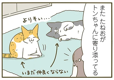 よりそい…
