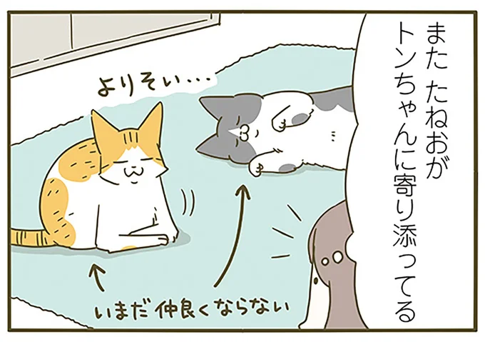 よりそい…