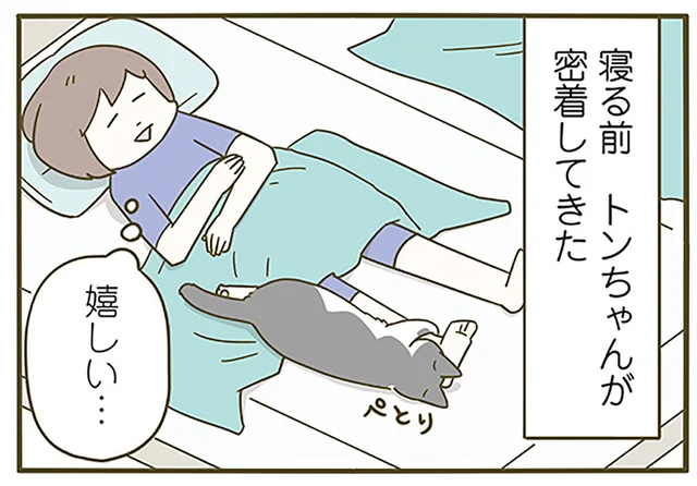 嬉しい、でも暑い！ 珍しくくっついてきてくれた猫への選択肢を間違えました／うちの猫がまた変なことしてる。6（6）