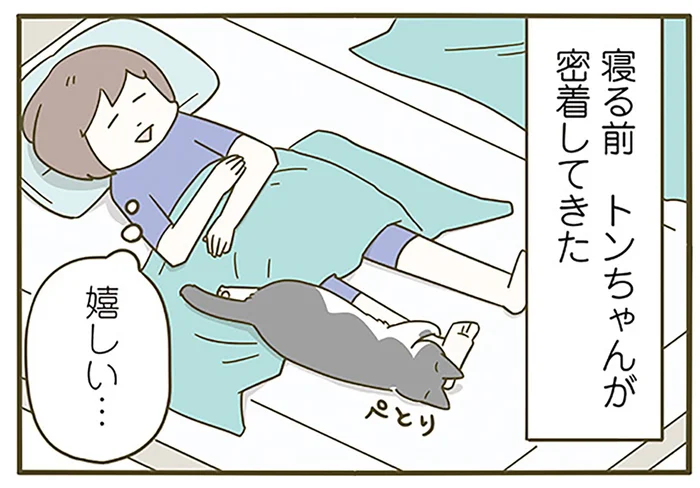 嬉しい、でも暑い！ 珍しくくっついてきてくれた猫への選択肢を間違えました／うちの猫がまた変なことしてる。6（6）