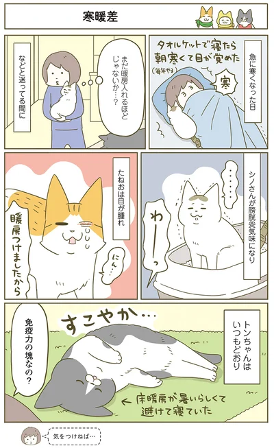 トンちゃんはいつもどおり