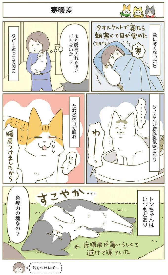 トンちゃんはいつもどおり