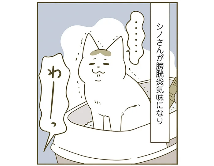 寒暖差が影響した!? 暖房を入れるか迷っていたら発生した、猫たちの体調の変化／うちの猫がまた変なことしてる。6（7）