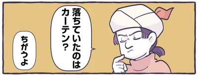 落ちていたのはカーテン？